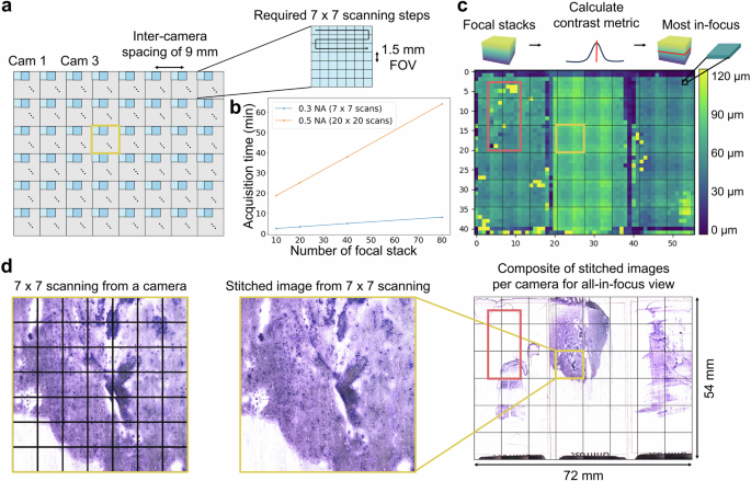 Fig. 6: The MCAS pipeline overview.