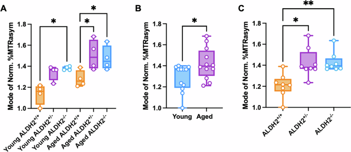 Fig. 5: Aldehyde production post-concussion is affected by age and ALDH2 genotype.