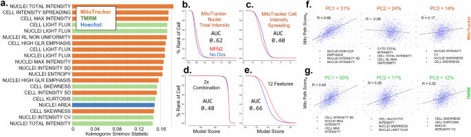 Fig. 4: Mitochondrial phenotype composition of individual features and principal components.