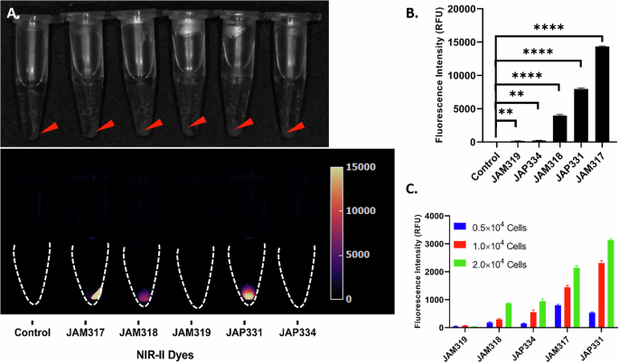 Fig. 7: Cellular uptake and fluorescence of QuCy dyes in A549 cells.