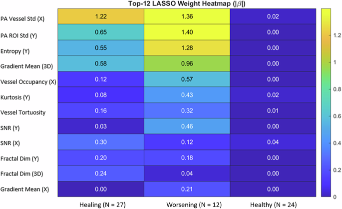 Fig. 1: Class-specific LASSO weight heatmap (|β | ) for the Top-12 model.