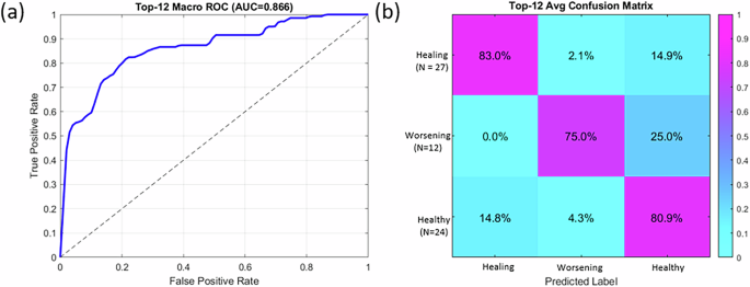 Fig. 2: Performance of the Top-12 LASSO–SVM classifier.