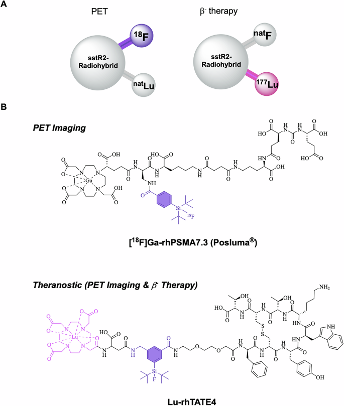 Fig. 1: Radiohybrid tracer design and examples.