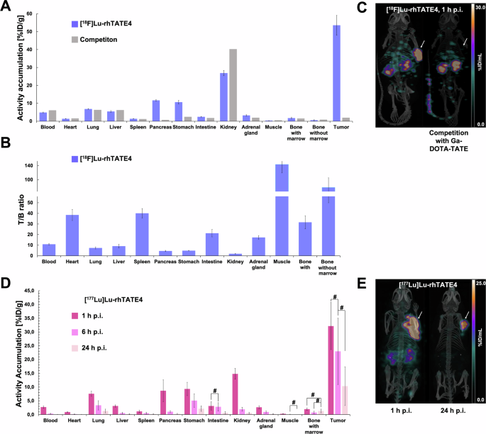 Fig. 3: Ex vivo biodistributions and µSPECT/CT scans performed in AR42J tumor-bearing female CD1 nu/nu mice.