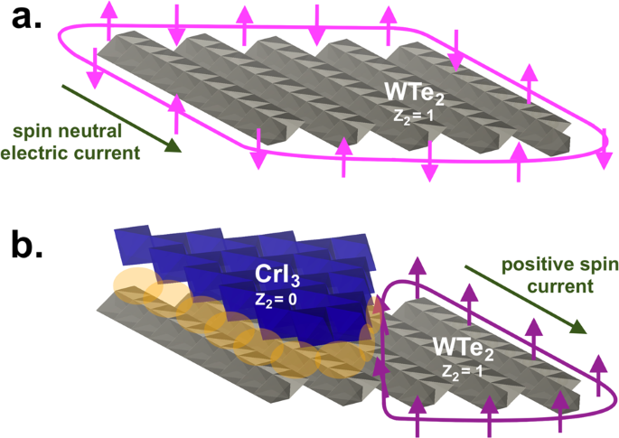 Fig. 1: Schematics of the edge conductance in the materials studied in this manuscript.