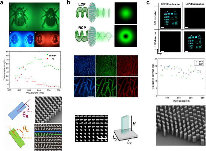 Fig. 5: Chiral metasurface imaging technology.