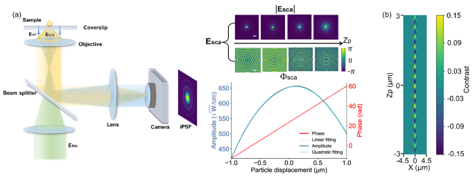Fig. 1: Diagrams of a wide-field iSCAT and simulated iPSFs.