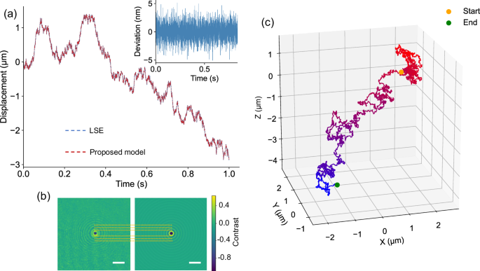 Fig. 3: Dynamic tracking of the particle movement.