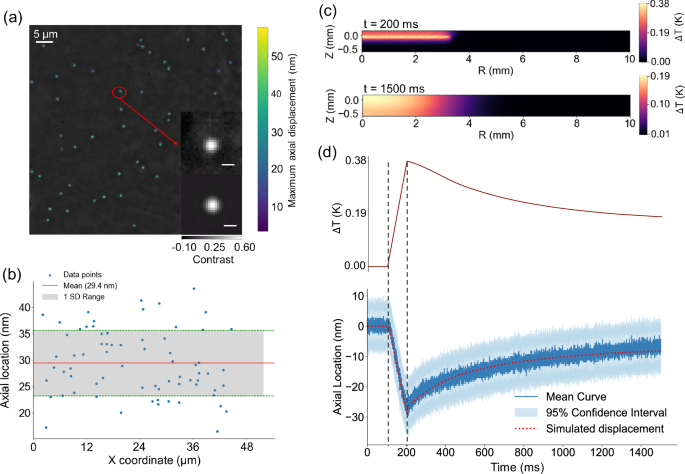 Fig. 4: The results of the thermal expansion experiment.