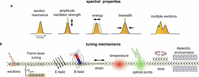 Fig. 2: Exciton tuning in monolayer 2D semiconductors.