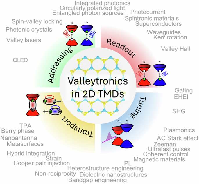 Fig. 4: Conceptual landscape of valleytronics in 2D TMDs.