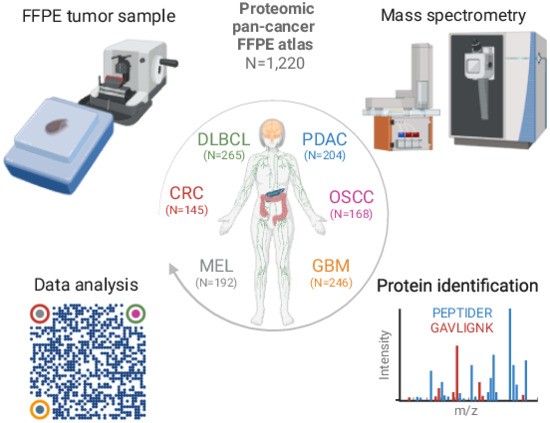 Towards routine proteome profiling of FFPE tissue: insights from a ...