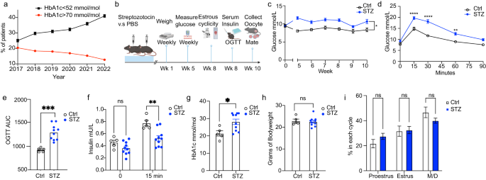 母体糖尿病における血糖管理の重要性を明らかにした研究(Study identifies importance of management of blood glucose in maternal diabetes)
