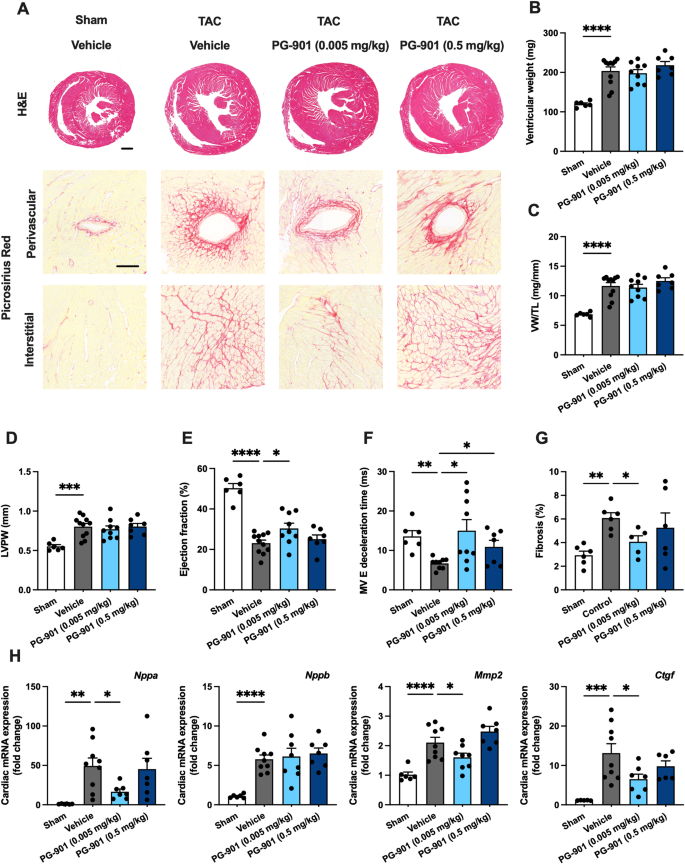 melanotan heart problems α-Melanocyte-stimulating hormone alleviates pathological cardiac remodeling via melanocortin 5 receptor | EMBO Reports Servings:Chocolate 30sv