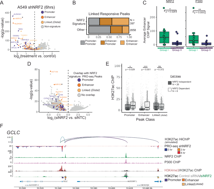NRF2 supports non-small cell lung cancer growth independently of  CBP/p300-enhanced glutathione synthesis | EMBO Reports | Springer Nature  Link
