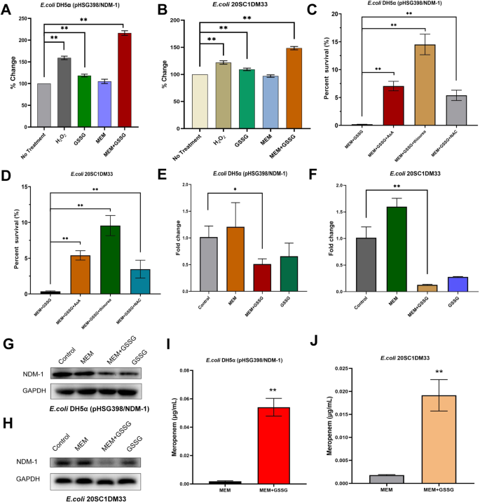 Oxidized glutathione reverts carbapenem resistance in blaNDM-1-carrying  Escherichia coli | EMBO Molecular Medicine