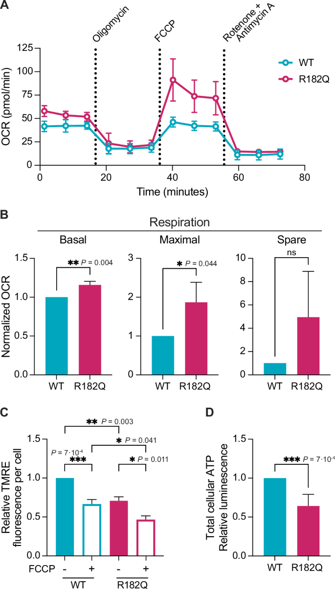 Dominant negative ATP5F1A variants disrupt oxidative phosphorylation  causing neurological disorders | EMBO Molecular Medicine | Springer Nature  Link