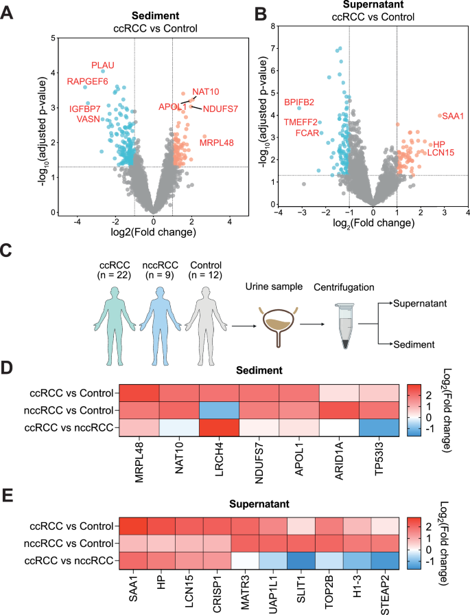 Figure 3: Identification of protein biomarkers for ccRCC diagnosis.
