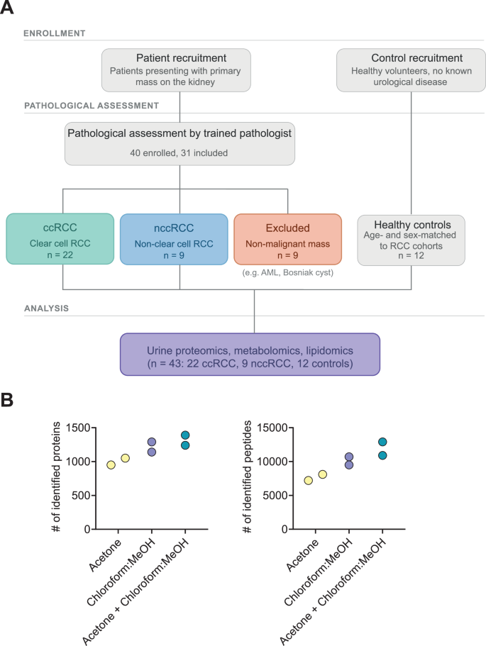 Figure EV1: Discovery cohort patient recruitment and urine precipitation.