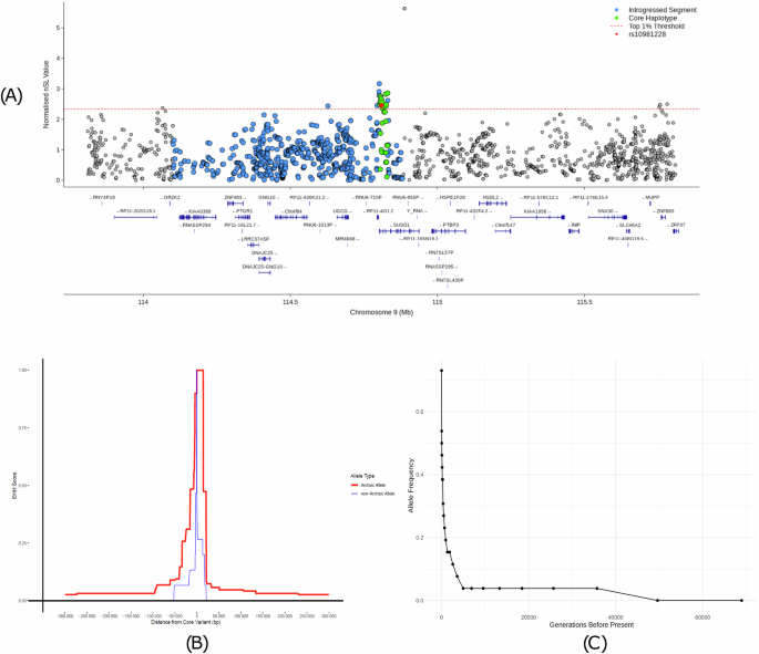 Fig. 3: Evidence for selection in SUSD1 core haplotype.
