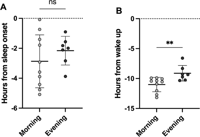 Fig. 2: Phase difference between melatonin onset time and sleep onset/wake up times across chronotype-preference groups.
