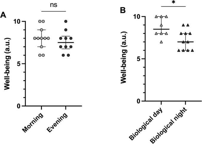 Fig. 3: Well-being scores according to chronotype preference or wake-up timing relative to biological day or night.