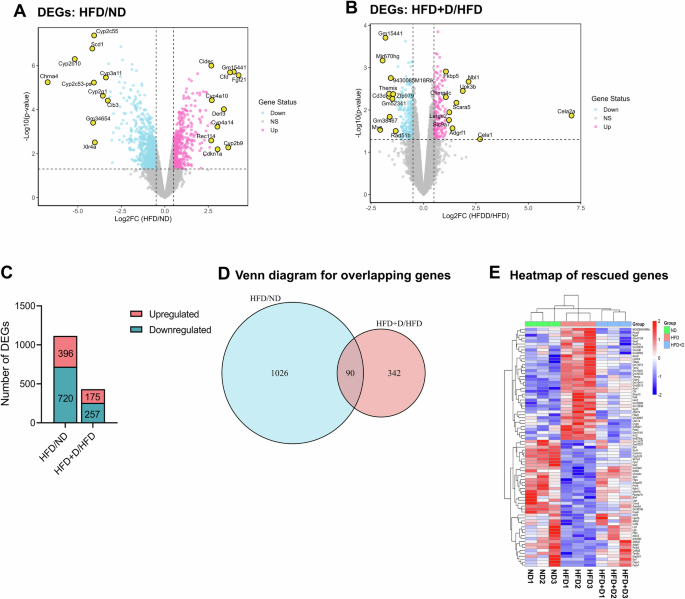 Fig. 7: 1,1-DEE restored transcriptional expression alterations in mice fed the HFD.