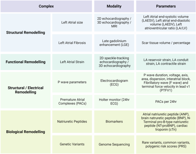 Fig. 1: Atrial-specific physiological and functional considerations.