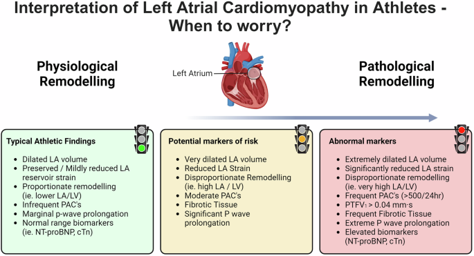 Fig. 4: Interpretation of left atrial cardiomyopathy features in athletes.
