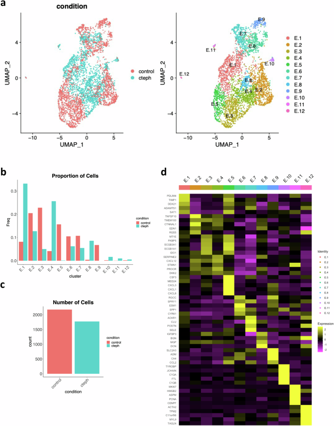 Fig. 2: Differences in single-cell expression profiles between control and CTEPH endothelial cells.