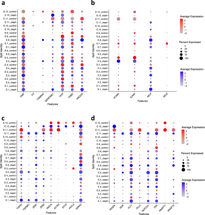 Fig. 3: Endothelial dysregulation in thrombogenesis and thrombus resolution in CTEPH ECs.