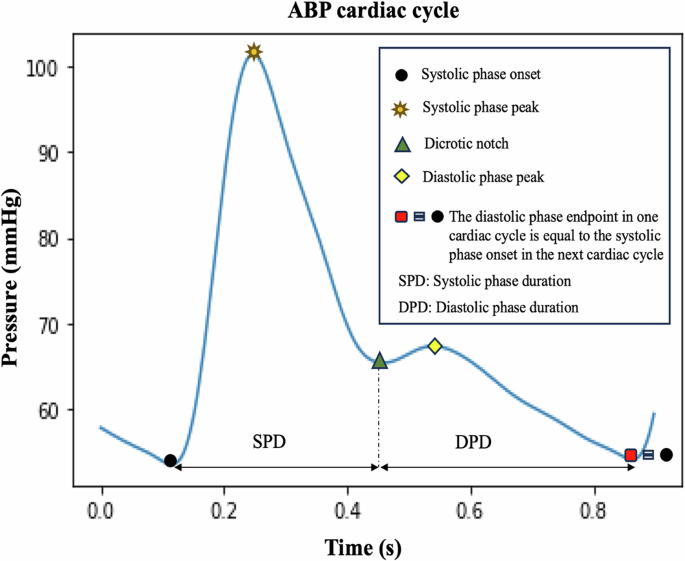 Fig. 1: Arterial blood pressure (ABP) cardiac cycle with key landmarks.