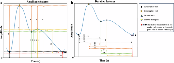 Fig. 7: A subset of time domain features extracted using detected landmarks from the photoplethysmography (PPG) cardiac cycle by the tool.