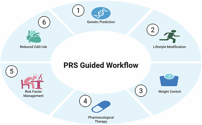 Fig. 2: PRS guided workflow for early coronary artery disease prevention in children.