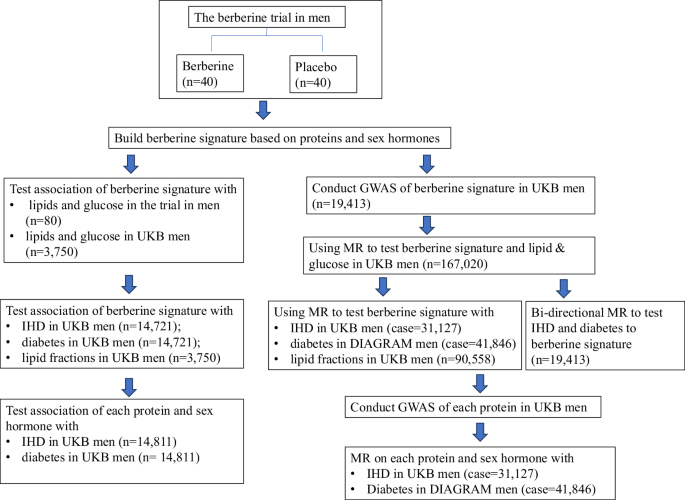 Fig. 1: Flow chart of the study design.