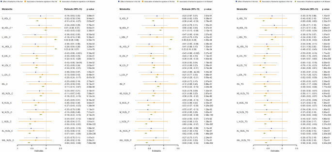 Fig. 2: The effect of berberine on lipid fractions, and associations of berberine signature with lipid fractions in berberine trial in 80 men and in UK Biobank in 3750 men.