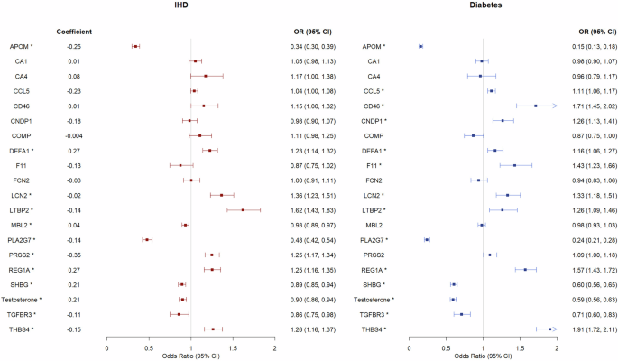Fig. 4: The associations of each protein/sex hormone in berberine signature with ischemic heart disease (IHD) and diabetes in observational study among 14,721 men in UK Biobank.