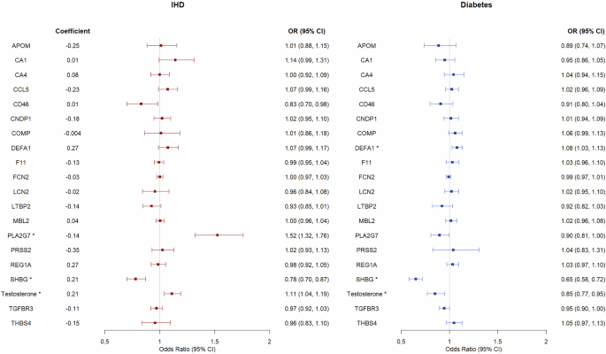 Fig. 5: Mendelian randomization analyses on the associations of each protein/sex hormone in berberine signature with IHD and diabetes in men in UK Biobank (for IHD cases = 31,127) and DIAGRAM (for diabetes cases = 41,846).