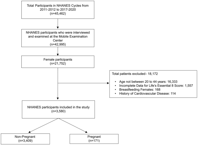 Fig. 1: Flowchart of the study population.
