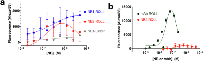 Fig. 7: The ability of nanobodies to facilitate the uptake of αSOs into HEK293 cells.