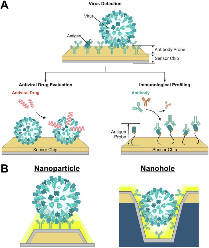 Fig. 1: Emerging virus applications for nanoplasmonic biosensors.