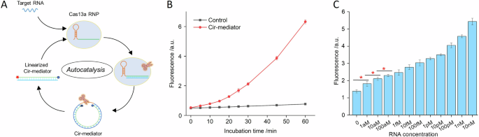 Fig. 4: Evaluating the basic properties of Cas13a-autosensor (Cas13a-autosensor-1).