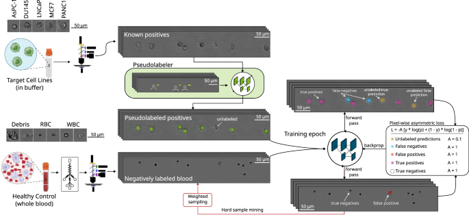 Fig. 3: Deep learning model training process.