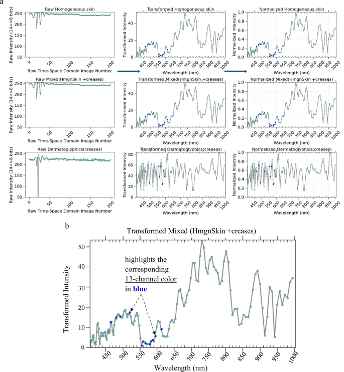 Fig. 9: Normalized Z-profiles and color-to-HSI wavelength linkage for a healthy subject.