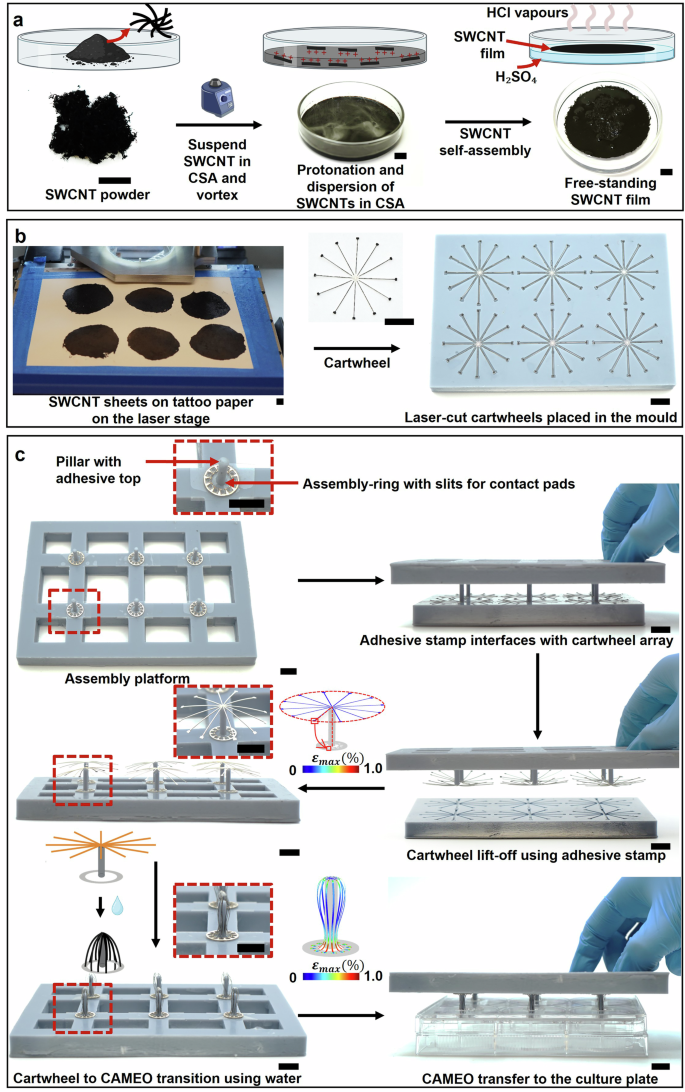 Fig. 2: Scalable fabrication of CAMEO devices.