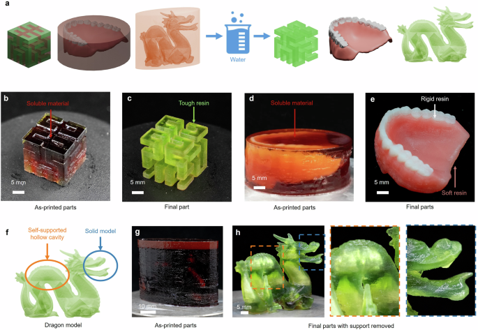Fig. 6: Multi-material and enclosed void printing using thin-film DLP.