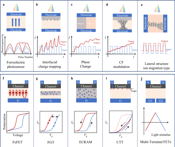 Fig. 2: Bio-inspired optoelectronic devices.