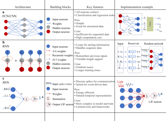 Fig. 3: Bio-inspired neural network taxonomy.
