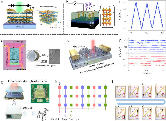 Fig. 5: Non-volatile optoelectronic devices for in-sensor FCN/CNN.