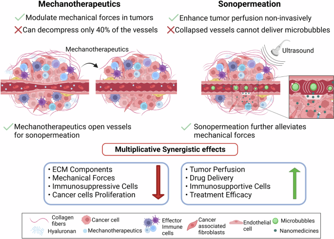 Fig. 1: The synergistic potential of mechanotherapeutics and sonopermeation to mechano-modulate the tumor microenvironment and enhance cancer treatment effectiveness.
